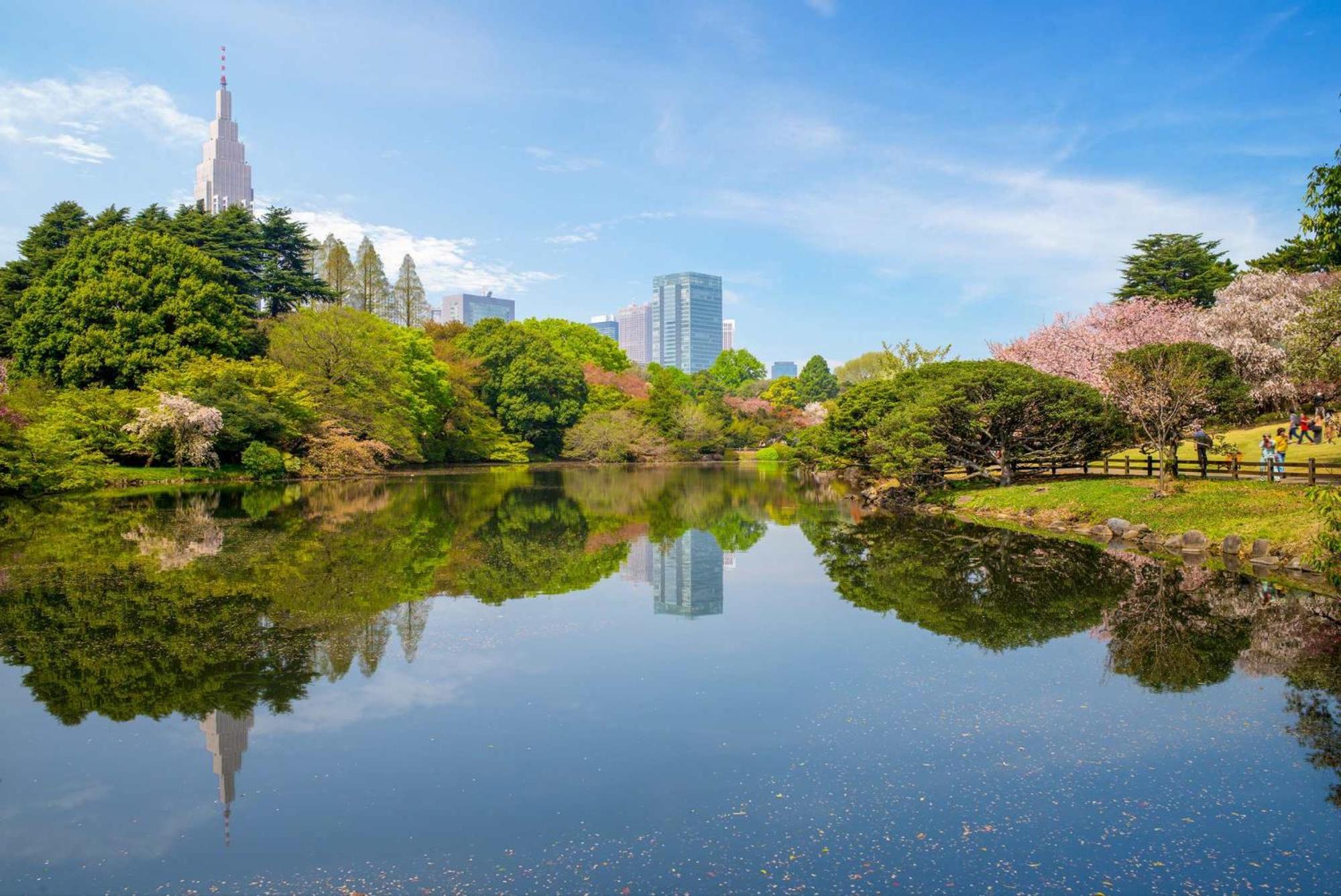 Apartamento 新宿区神楽坂近く大空间 Tokio